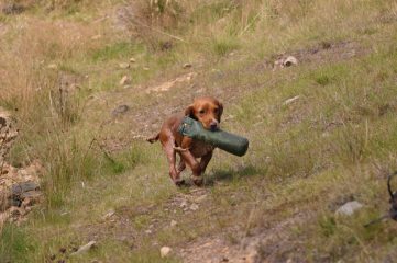 Water retrieve