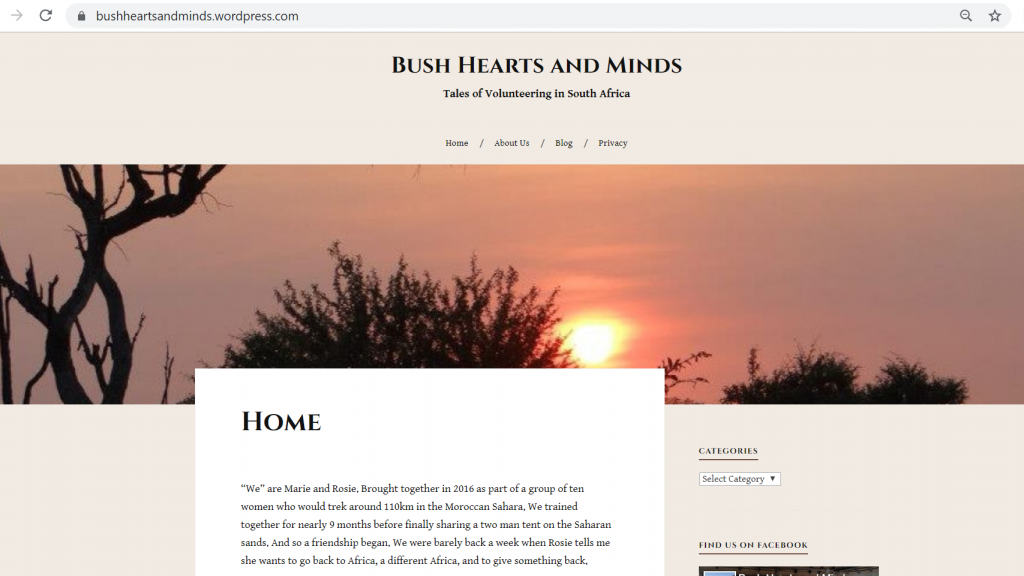 Excerpt of our blogging Bush Hearts